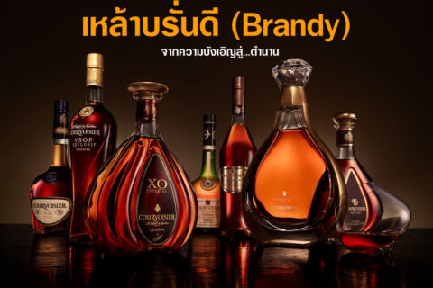 เหล้าบรั่นดี (Brandy) จากความบังเอิญสู่ตำนาน